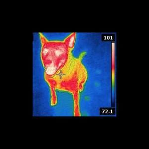 Meet your Posher, Stuart